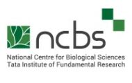NCBS Recruitment 2022 – Trainee Posts for Various Vacancies | Apply Online