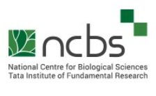 NCBS Recruitment 2022 – Officer Posts for Various Vacancies | Apply Online